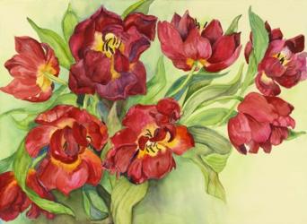 Double Red Tulips | Obraz na stenu