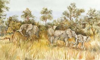 African Elephant | Obraz na stenu