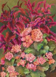 Coleus and Begonias | Obraz na stenu