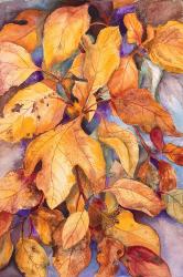Sassafras Leaves | Obraz na stenu