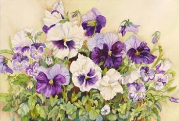 White and Purple Pansies | Obraz na stenu