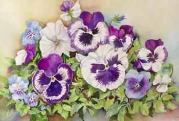 Pansy Cluster | Obraz na stenu