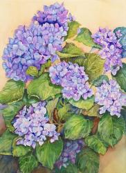 Easter Hydrangea | Obraz na stenu