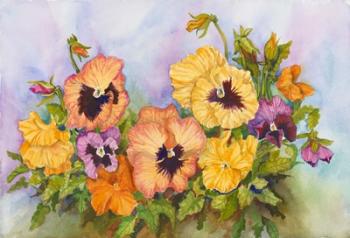 Pansies in a Blue Sky | Obraz na stenu