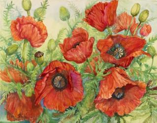 Poppies at their Peak | Obraz na stenu