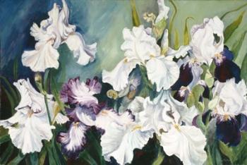 Plum And White Iris | Obraz na stenu