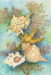 Shells in the Deep Green Sea | Obraz na stenu