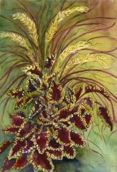 Coleus and Grasses | Obraz na stenu