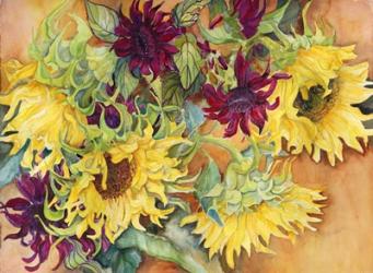 Nodding Heads Sunflowers | Obraz na stenu