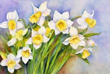 Daffodil Cluster | Obraz na stenu