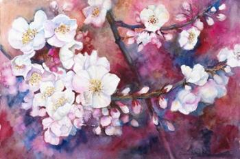 Cherry Blossoms | Obraz na stenu