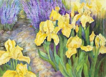 Iris in a Rock Garden | Obraz na stenu