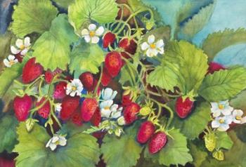 Strawberry Patch - A. Ripe on the Vine | Obraz na stenu