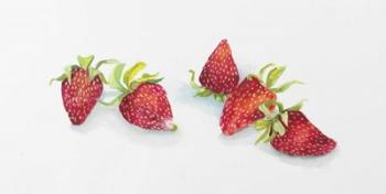 Strawberry Patch - C. Ripe Berries Whole | Obraz na stenu