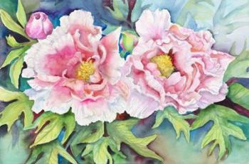 A Pair of Peonies | Obraz na stenu