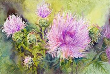 Wild Thistles | Obraz na stenu