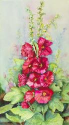 Early Morning Hollyhock | Obraz na stenu