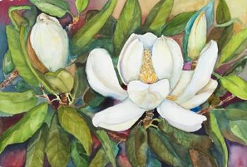 Magnolias in their Prime | Obraz na stenu