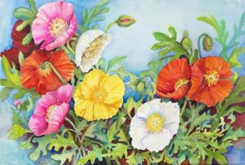 Small Colorful Poppies | Obraz na stenu