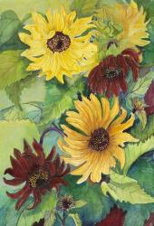 Light and Dark Sunflower | Obraz na stenu