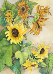 Sunflowers Reaching for the Sun | Obraz na stenu