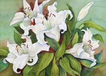 Casa Blanca Lilies | Obraz na stenu