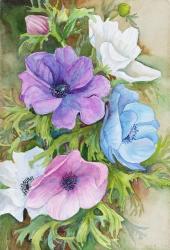 Pastel Anemones | Obraz na stenu