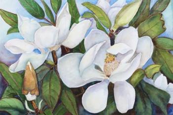 Magnolia with Blue Sky | Obraz na stenu