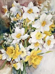 Spring Daffodils | Obraz na stenu