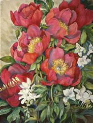 Red Peonies | Obraz na stenu