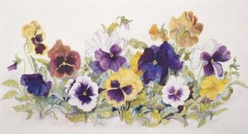 Pansies' Faces | Obraz na stenu