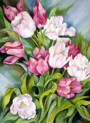 Light Pink And Dark Tulips | Obraz na stenu