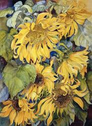 Cascading Sunflowers | Obraz na stenu