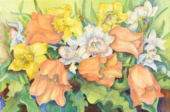 Peach Tulips & Daffodils | Obraz na stenu