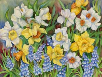 Daffodils And Grape Hyacinths | Obraz na stenu