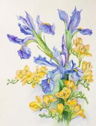 Iris With Gold Fuscia | Obraz na stenu