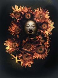 Budda Head In A Bed Of Daisies | Obraz na stenu