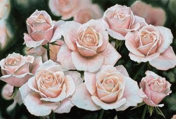 Rose Bouquet | Obraz na stenu