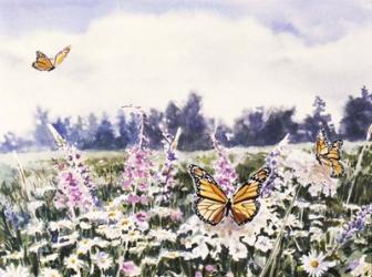 Wild Flowers & Butterflies | Obraz na stenu