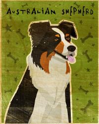 Australian Shepherd | Obraz na stenu