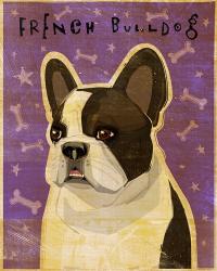 French Bulldog - Whiten Brindle | Obraz na stenu