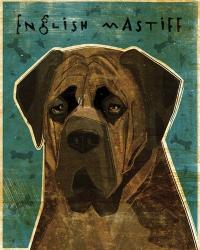 English Mastiff - Brindle | Obraz na stenu