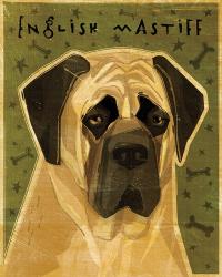 English Mastiff | Obraz na stenu