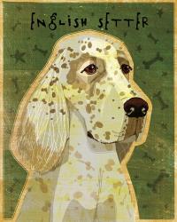 English Setter | Obraz na stenu