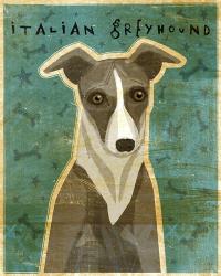 Italian Greyhound - White and Grey | Obraz na stenu
