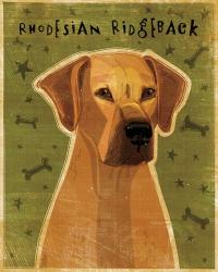 Rhodesian Ridgeback | Obraz na stenu