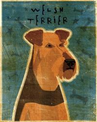 Welsh Terrier | Obraz na stenu