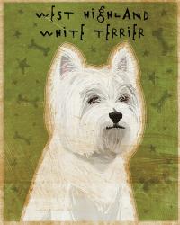 West Highland Terrier | Obraz na stenu