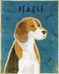 Beagle | Obraz na stenu