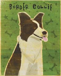 Border Collie | Obraz na stenu